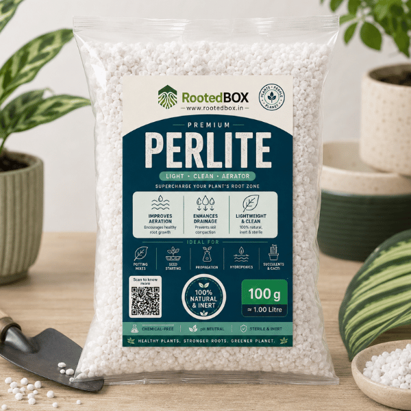 Perlite – Lightweight Soil Aerator & Drainage Booster