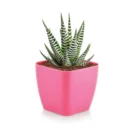 RootPod 2 - Square Planter - Pink