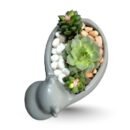 Sandrose & Laxmi Kamal Succulent in Decorative Pot | Elegant Gift Set