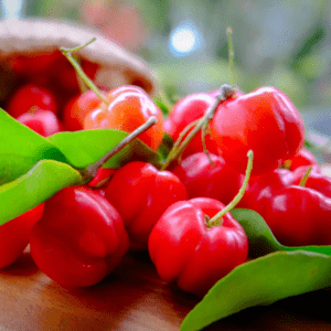 Barbados Cherry (Acerola) Fruit Plant | Vitamin C Rich Cherry Tree