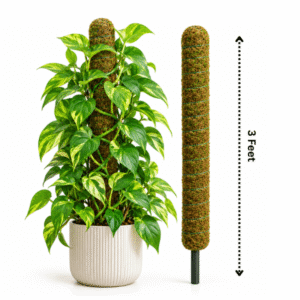 Coir Moss Pole for Indoor Plants | Natural Climbing Support for Aroids