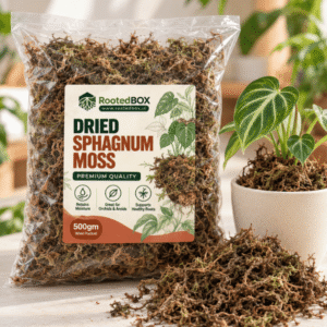 Sphagnum Moss for Indoor Plants | Natural Dried Moss for Repotting & Propagation